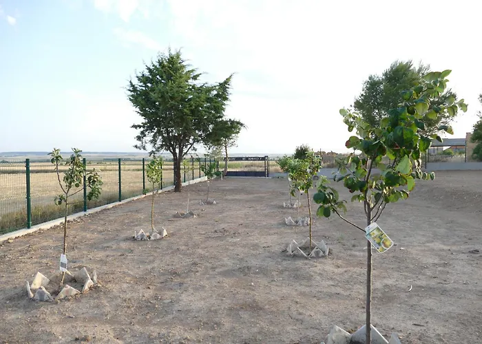 Campos De Villalba Holiday home